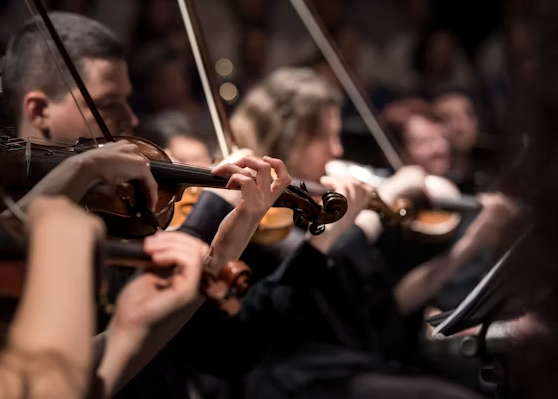 Symphony Night